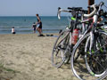 MTBO